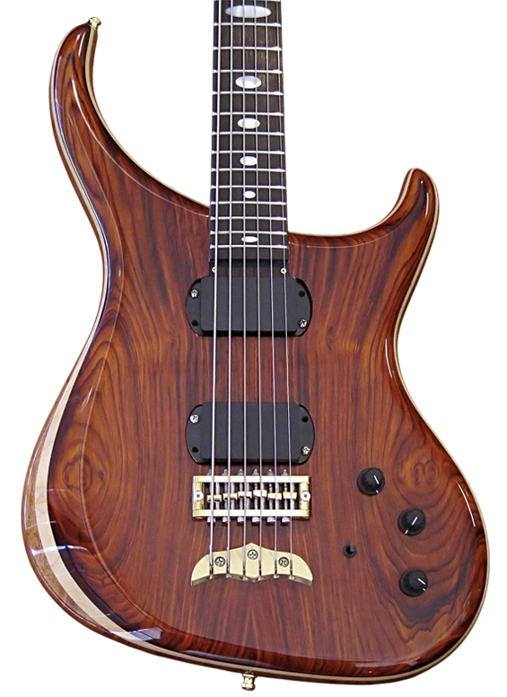 Orion guitar in Cocobolo