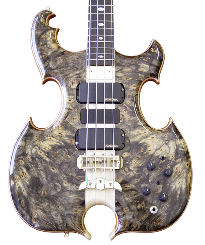 Signature Standard in Dark Buckeye