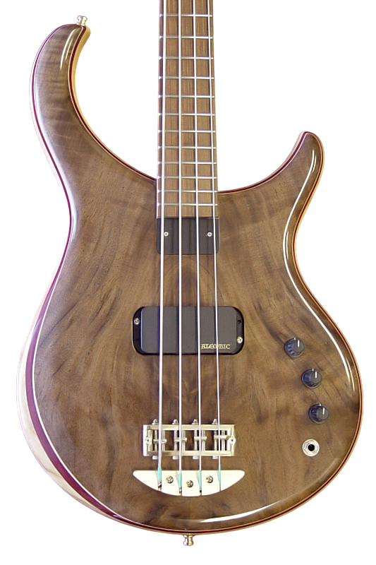 Excel bass in California Walnut