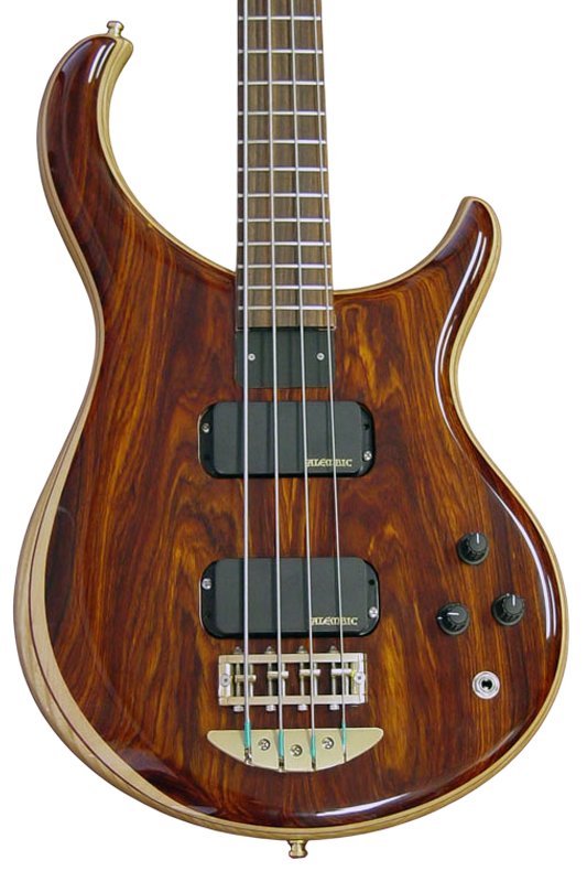 Excel bass in Cocobolo