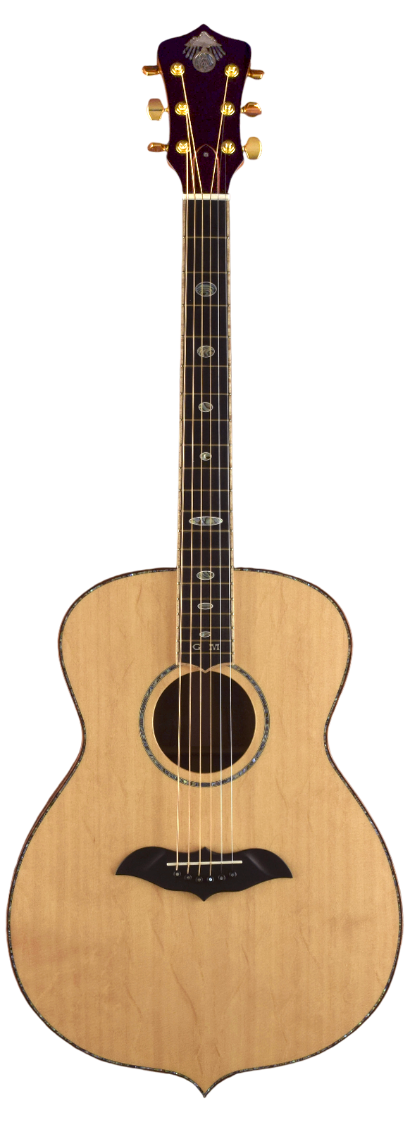Element acoustic guitar back