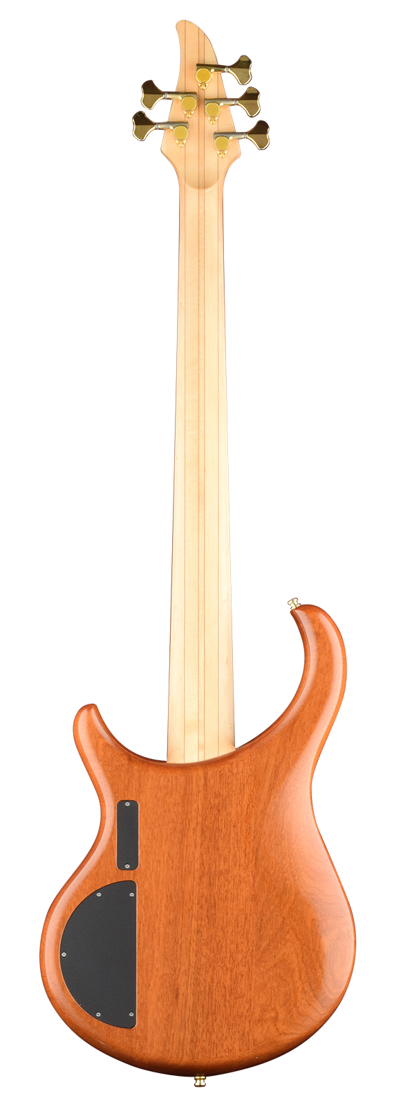 Back view of Excel 5-string bass showing Mahogany body