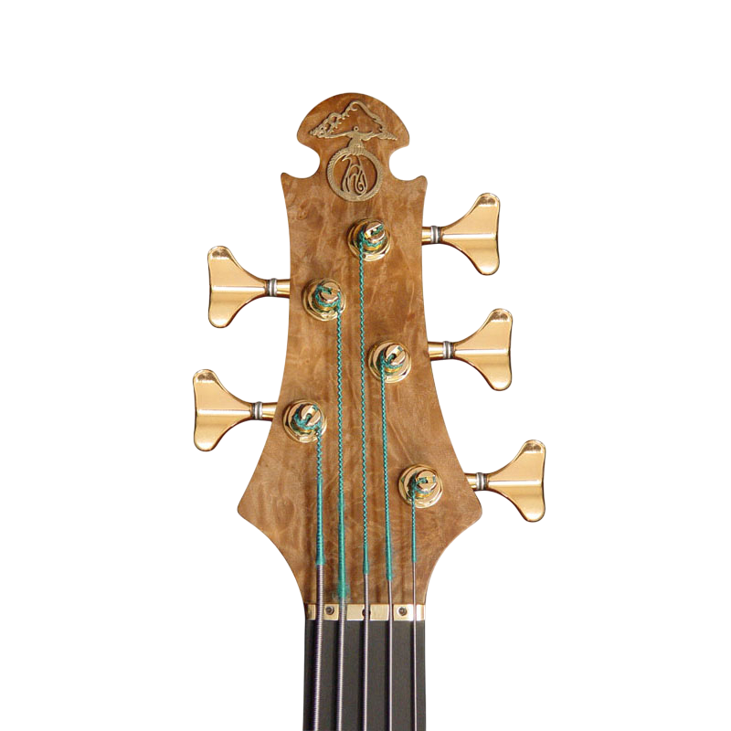 Knobby 2+3 headstock