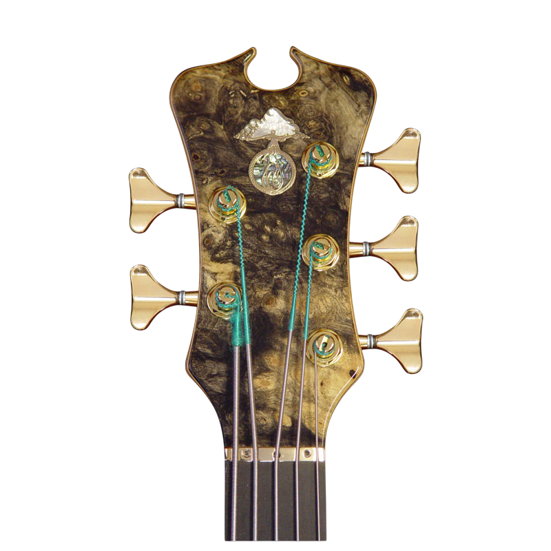 Omega 2+3 headstock