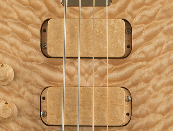 Bird&rsquo;s-eye Maple encased Pickup