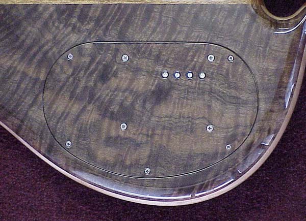 backplate