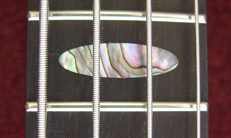 abalone oval