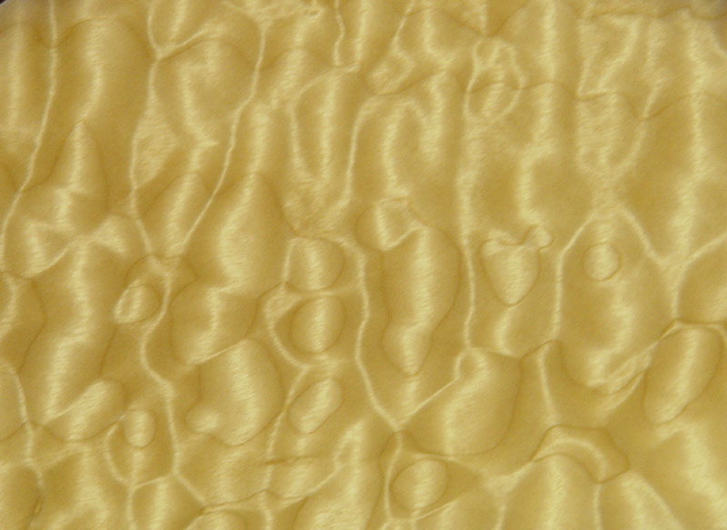Quilted Maple