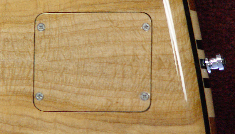 battery plate