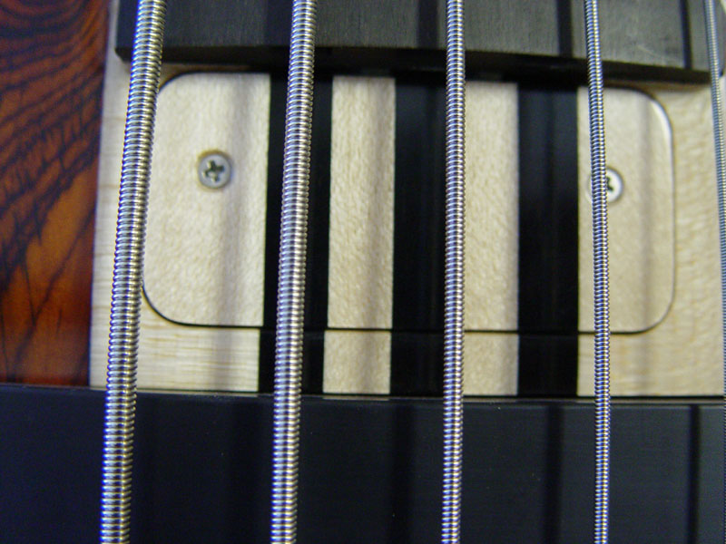 Truss Rod Cover