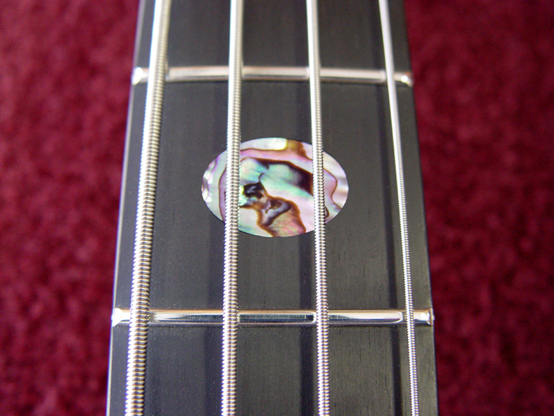 abalone