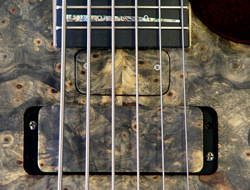Truss rod cover