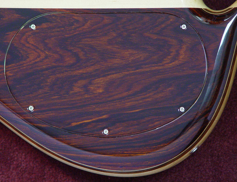 Coco Bolo Backplate