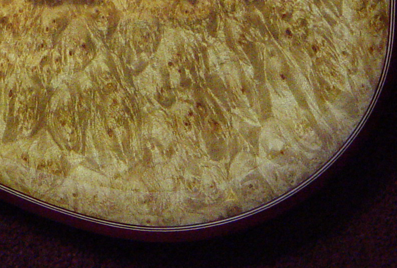 Burl Maple
