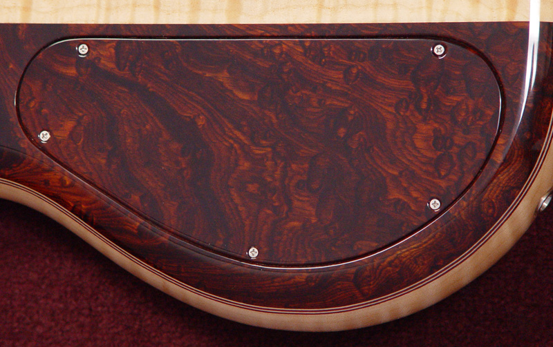 backplate