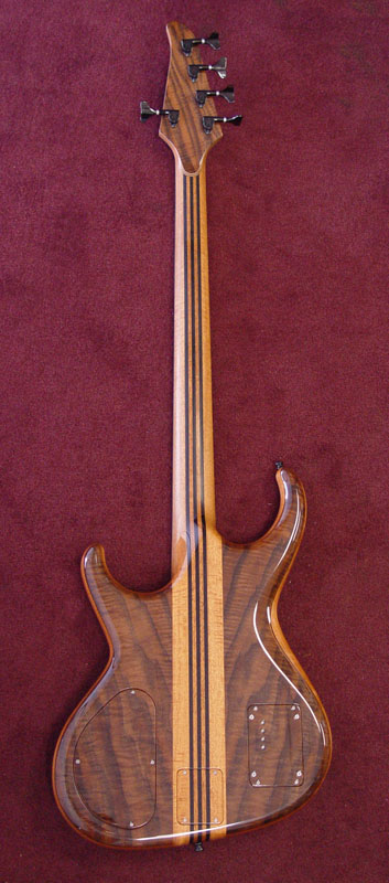 back view