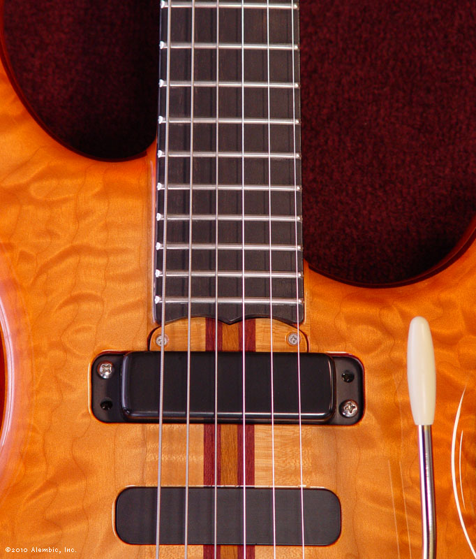 Truss Rod Cover