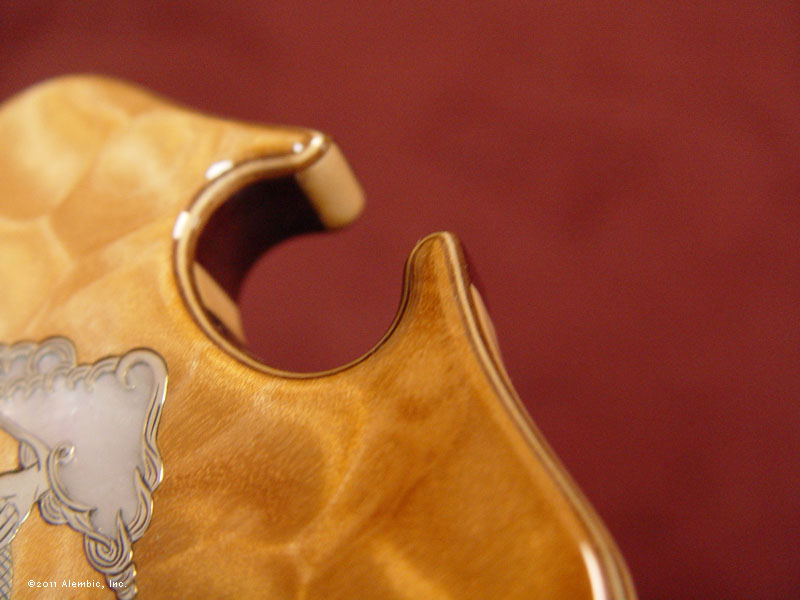 Omega peghead detail