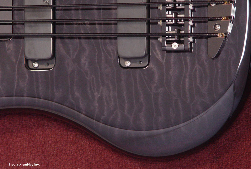 Quilted Maple Black Stain